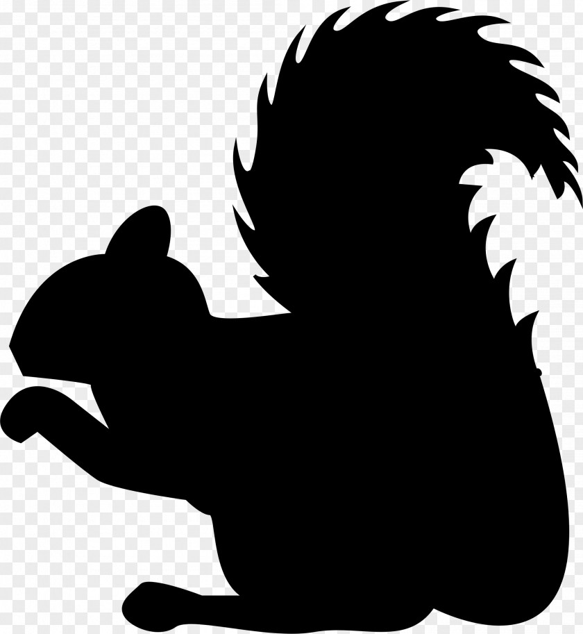 Squirrel Eastern Gray Drawing Clip Art PNG