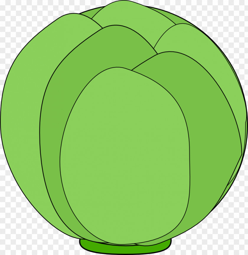 Circle Cabbage Vegetable Clip Art PNG