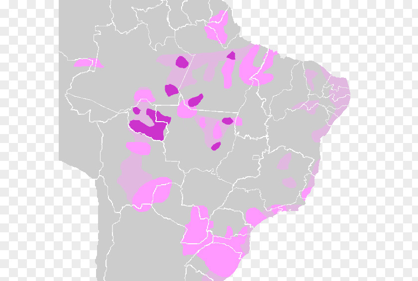 Espinha De Peixe Tupian Languages Tupi–Guarani Tupi People Language Paraguayan Guaraní PNG