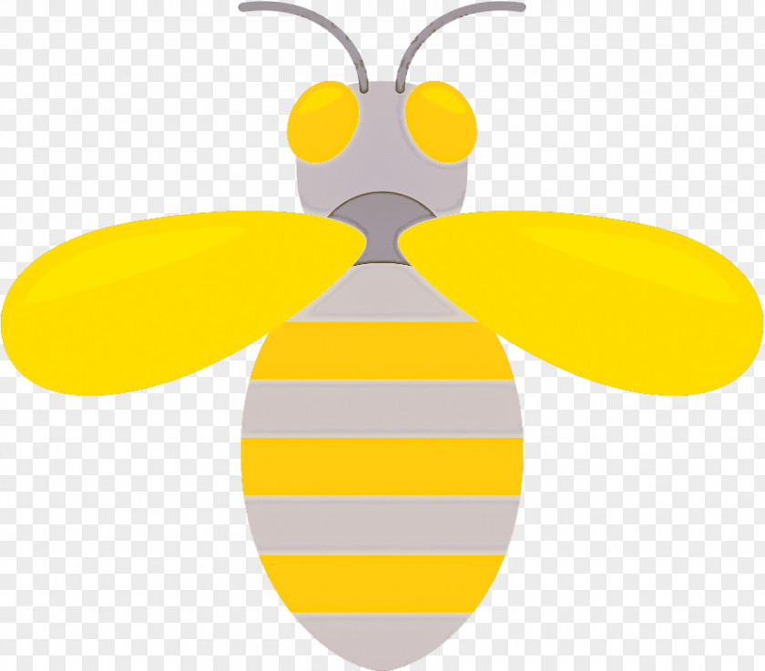 Honey Bee Bees Butterflies Yellow Pattern PNG