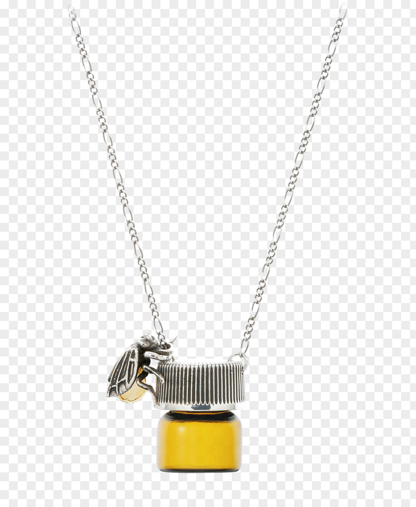 Necklace Rope Chain Locket PNG