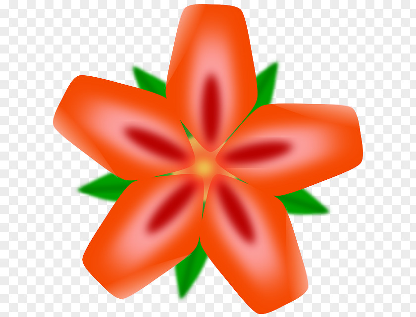 Orange Flower Hawaii Clip Art PNG
