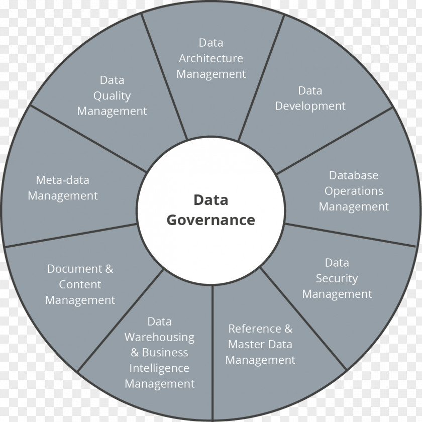 Project Management Body Of Knowledge Organization DAMA International Data PNG