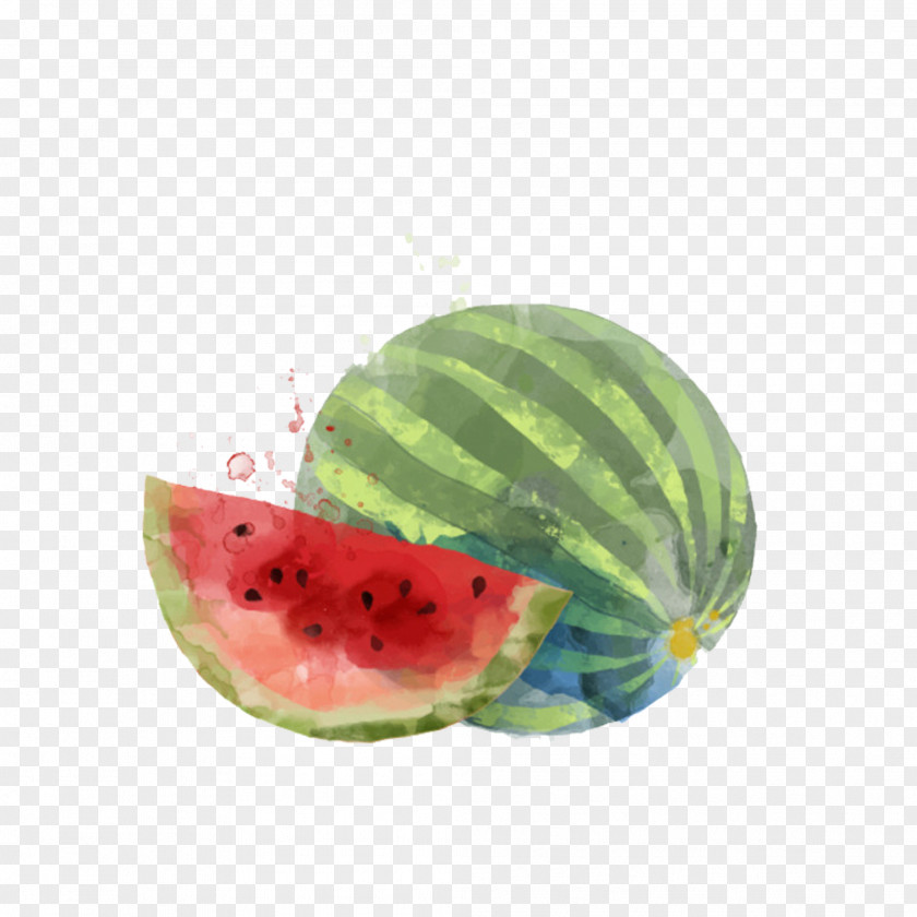 Watermelon Watercolor Painted Smoothie Painting Auglis PNG