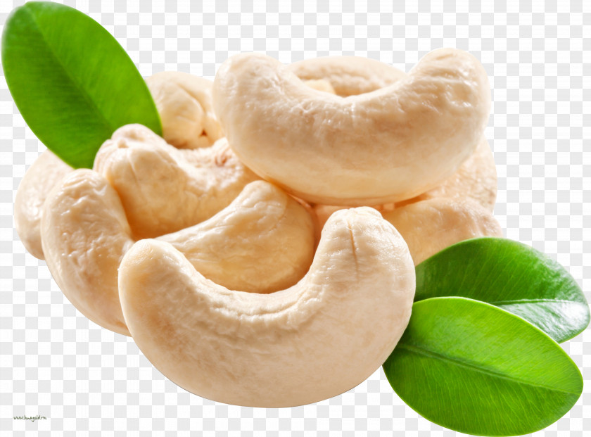 (7) Cashew Dried Fruit Nut PNG
