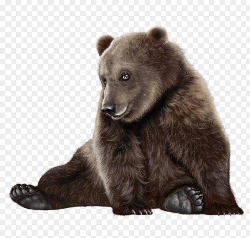 Brown Bear Blind PNG