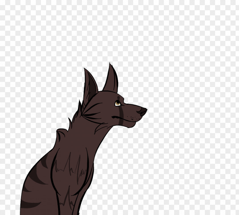 Cat Dog Breed Character Paw PNG