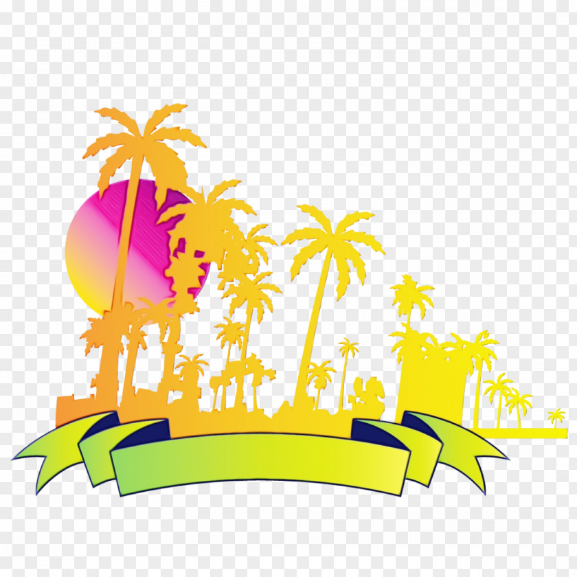 Plant Meter Palm Tree Background PNG