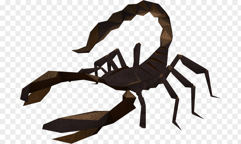 RuneScape Scorpion Wikia Crab PNG