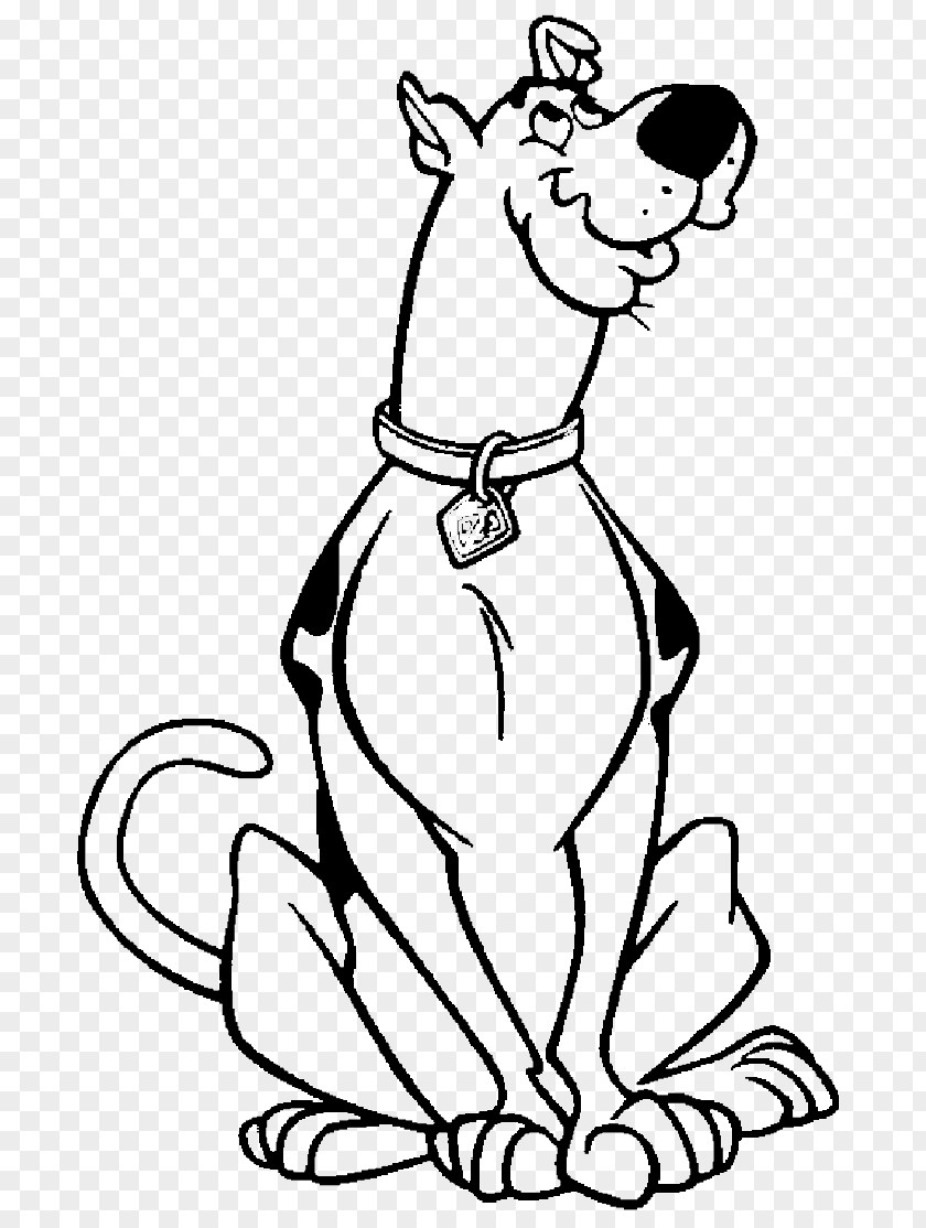 Scoobydoo In Where's My Mummy Shaggy Rogers Scooby-Doo Drawing Coloring Book PNG