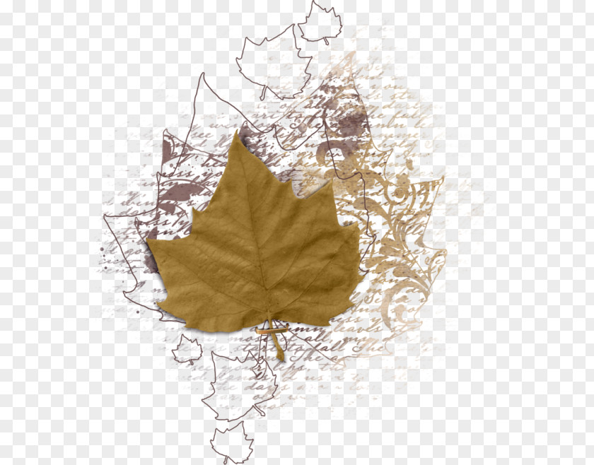 Ski Facility Leaf Tree PNG