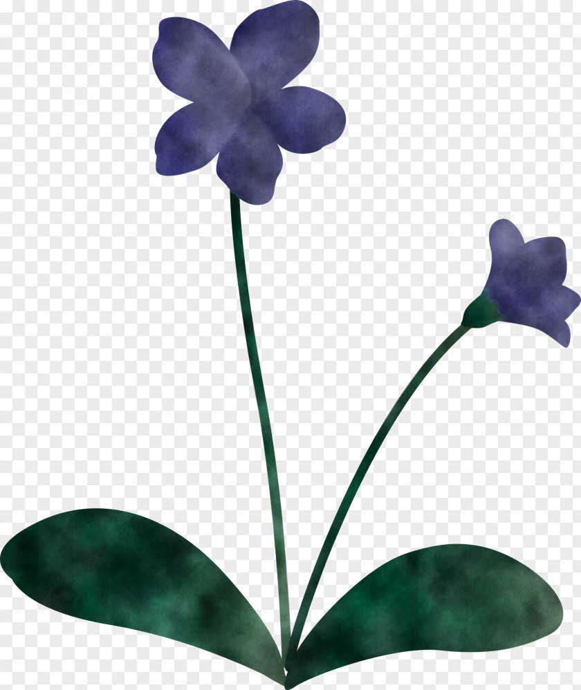 Violet Flower PNG