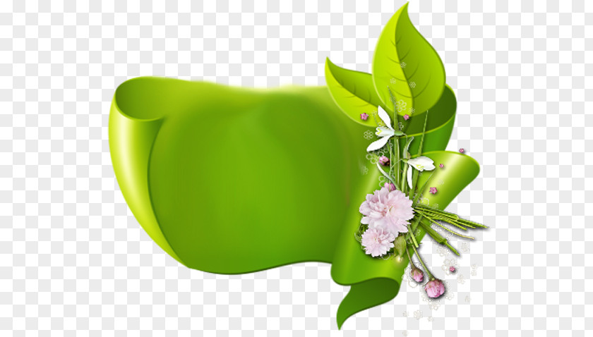 Fresh Green Ribbons PNG green ribbons clipart PNG