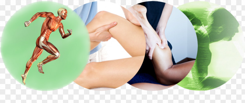 Massage By Cheryl Ann Physical Therapy Adhesive Capsulitis Of Shoulder PNG