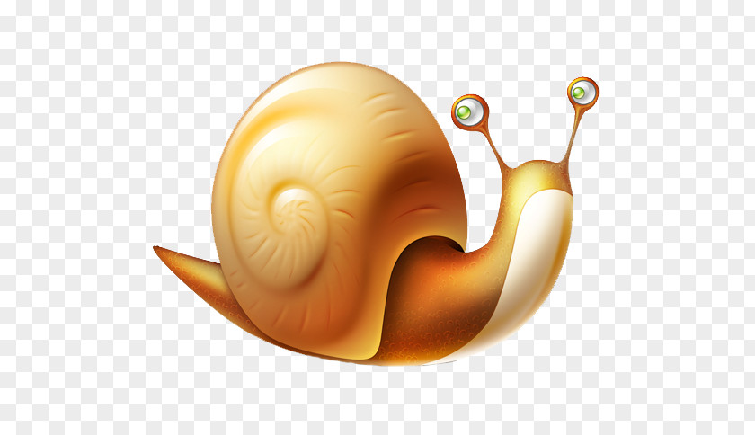 Snail Vector Download ICO Icon PNG