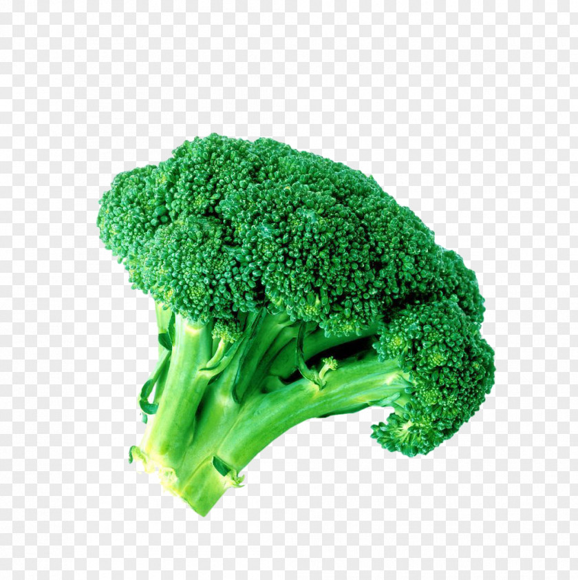 A Broccoli Sulforaphane Vegetable PNG