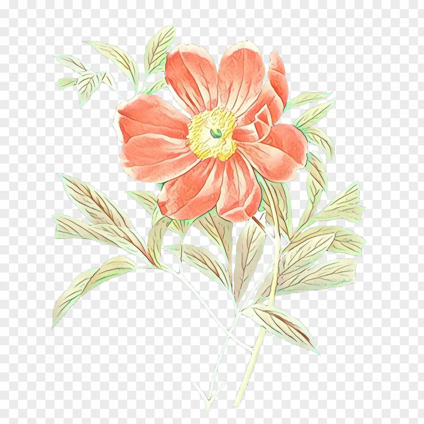Flower Botanical Illustration Painting Floral Design PNG