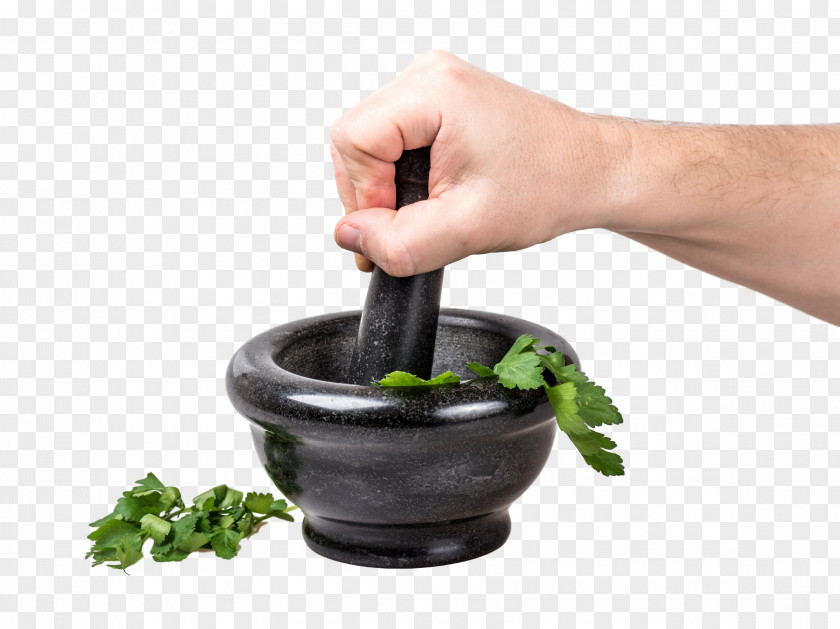 Parsley Herb Mortar And Pestle Dietary Supplement Bowl Health PNG