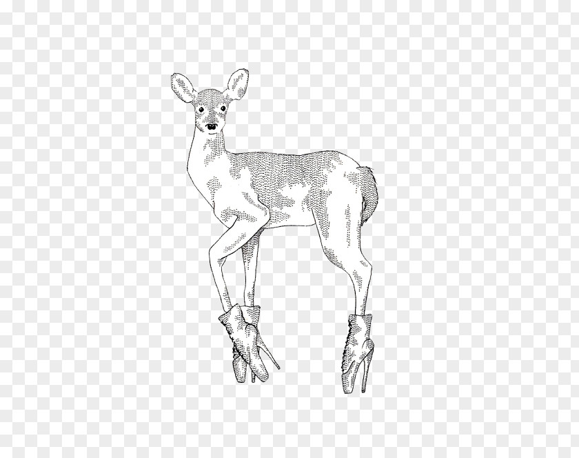 Reindeer Antelope Pack Animal Line Art Sketch PNG
