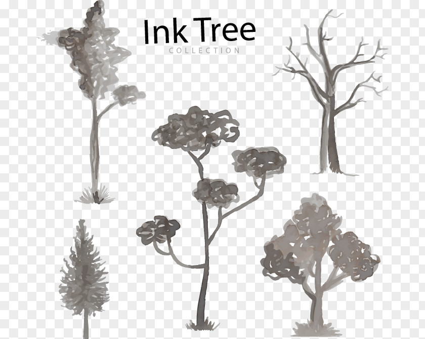 Trees Watercolor Pen Black And White Tree Painting Twig Illustration PNG