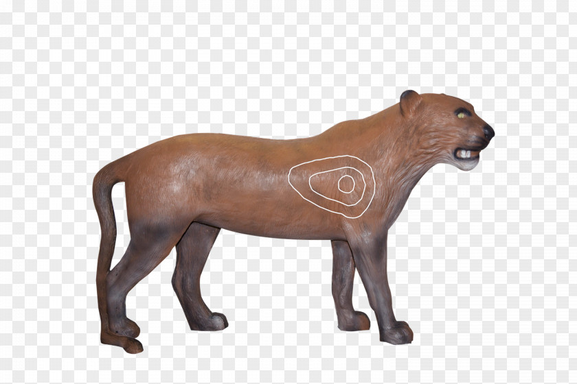 Archery Target Lion Field Deer Squirrel PNG