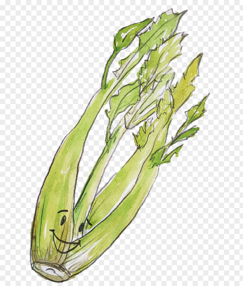 Celery Allium Fistulosum Leaf Vegetable Scallion PNG