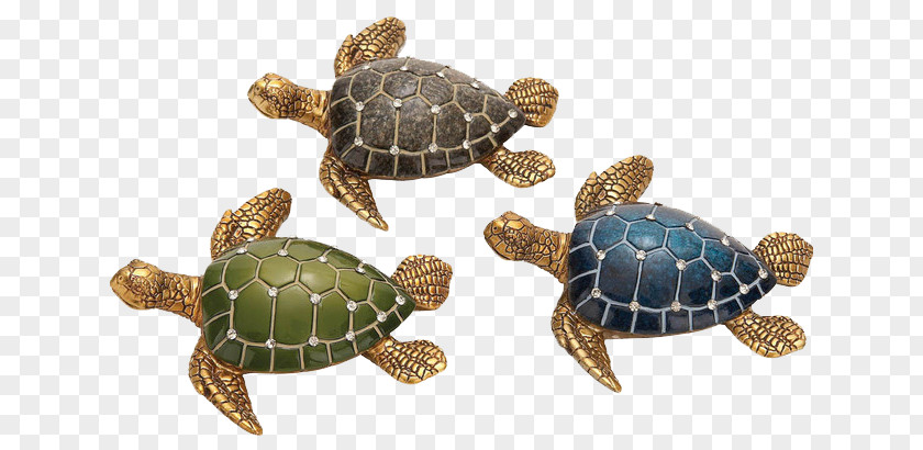 Decorative Figures Loggerhead Sea Turtle Reptile Shell PNG