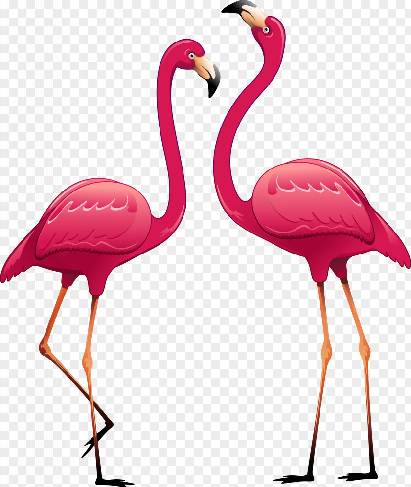 Flamingo Paper Wall Decal Sticker Polyvinyl Chloride PNG