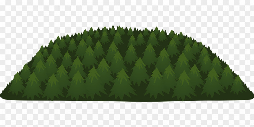 Forest Clip Art Tree Image PNG