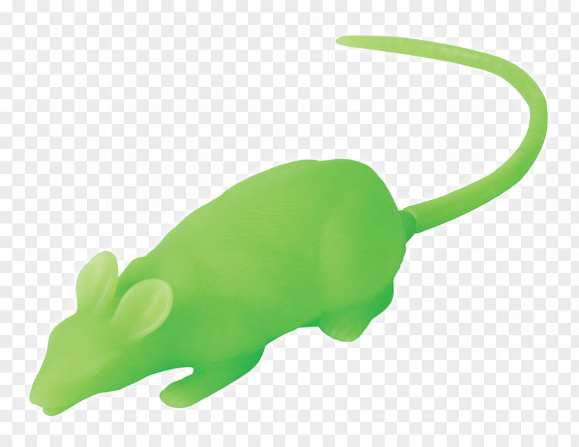 Glow In The Dark Contacts Rat Reptile Fauna Amphibians Product Design PNG