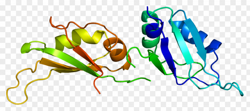 HNRNPA1 Homogeneous And Heterogeneous Mixtures Ribonucleoprotein Particle PNG