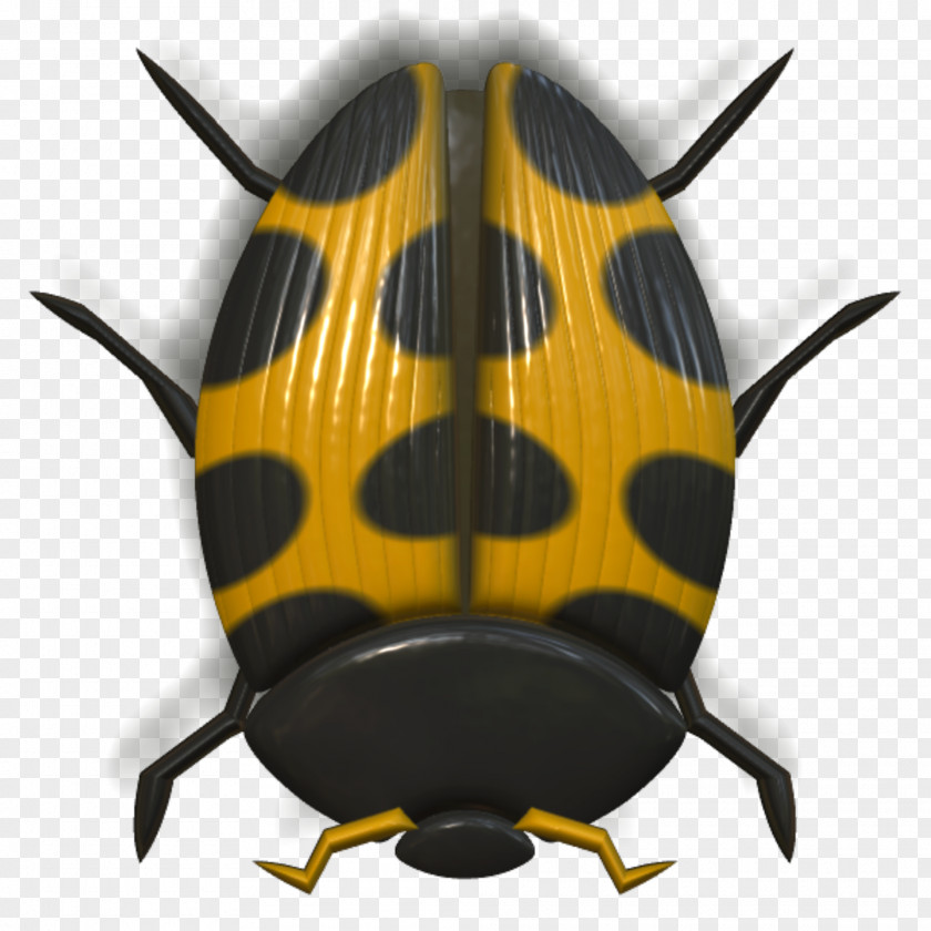 Ladybug Beetle Animal PNG