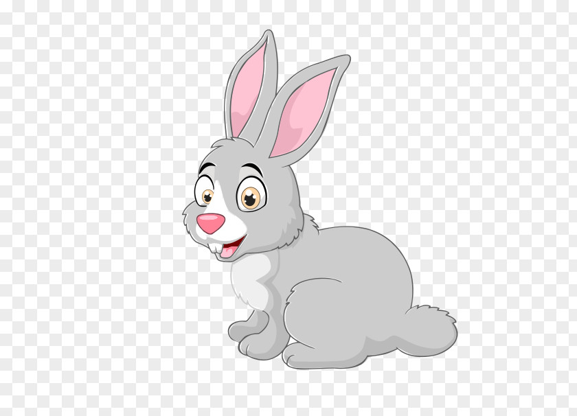 Rabbit New Zealand Cartoon PNG