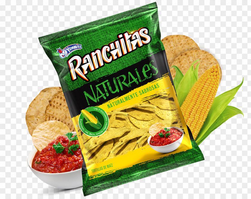 Salsa Nachos Churro Guacamole Junk Food Ranchita, California PNG