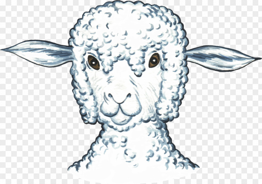 Sheep Hare Goat Clip Art PNG