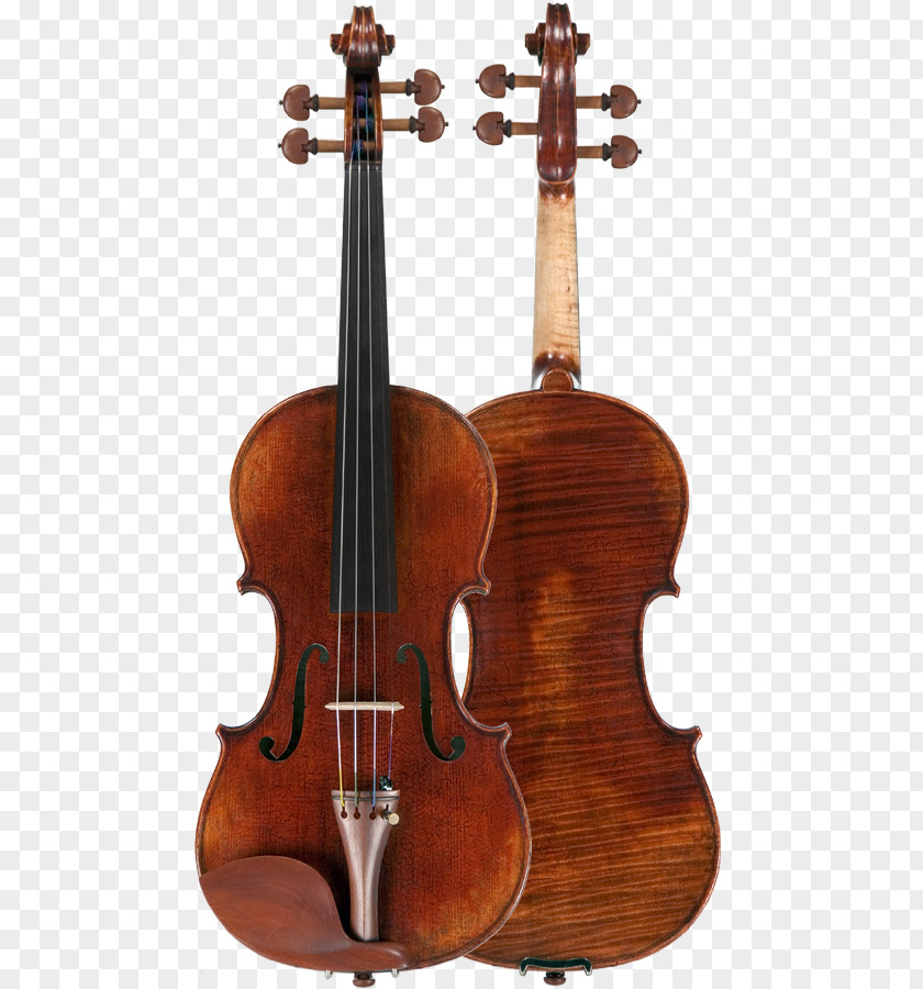 Violin Cello String Instruments Viola Double Bass PNG