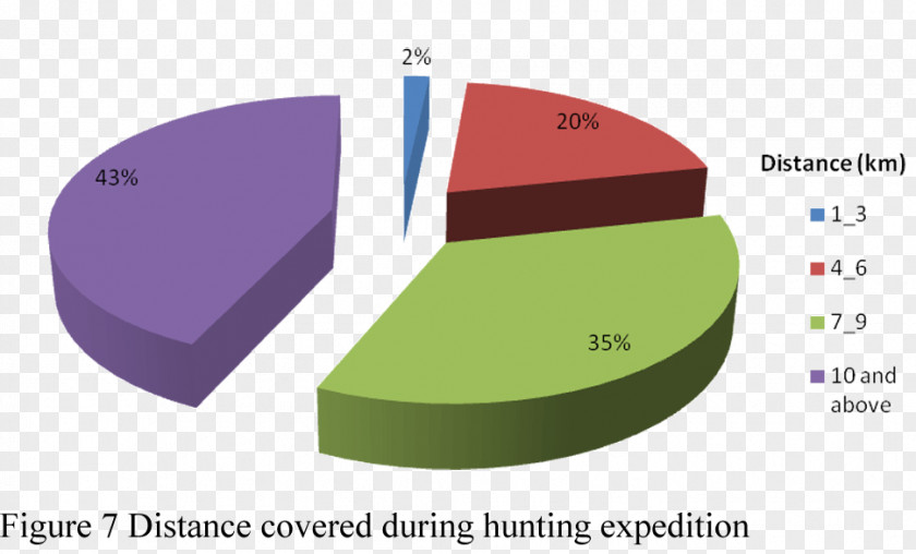 Wildlife Conservation Cross River Gorilla Pie Chart Statistics PNG