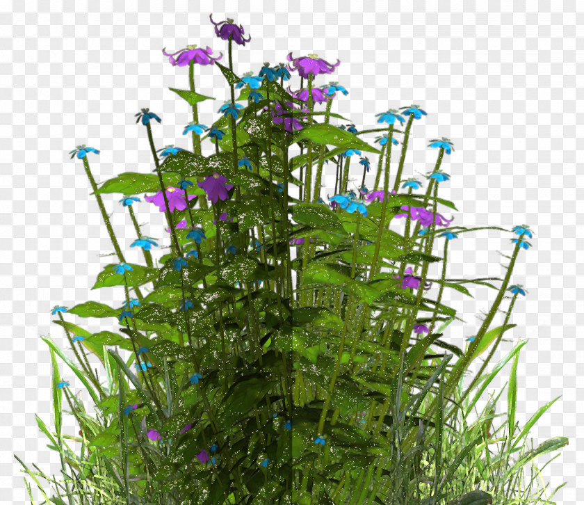 Enchanted Atmosphere Flower Purple Herb Shrub PNG