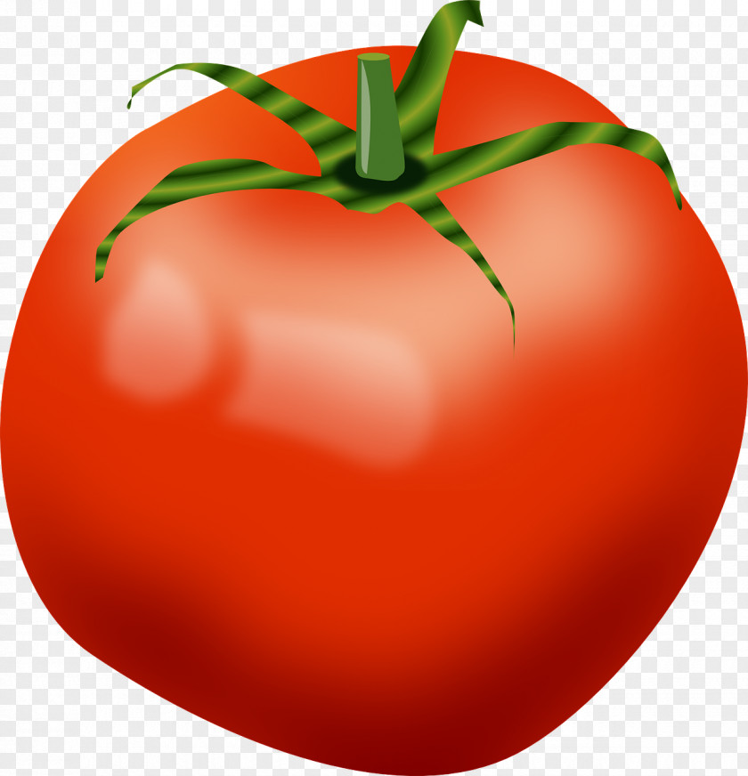 Red Tomatoes Cherry Tomato Vegetable Clip Art PNG