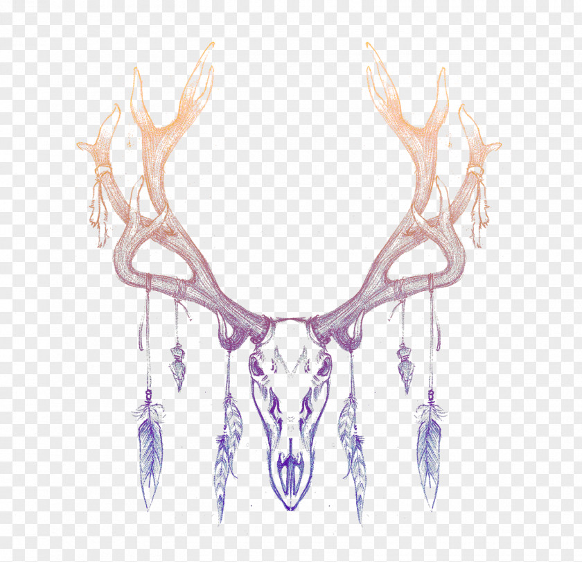 Skull Reindeer Antler Horn Drawing PNG