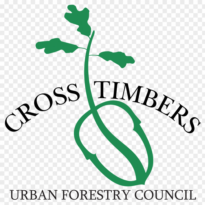 Timber Cross Timbers Urban Forestry Lumber Arboriculture PNG