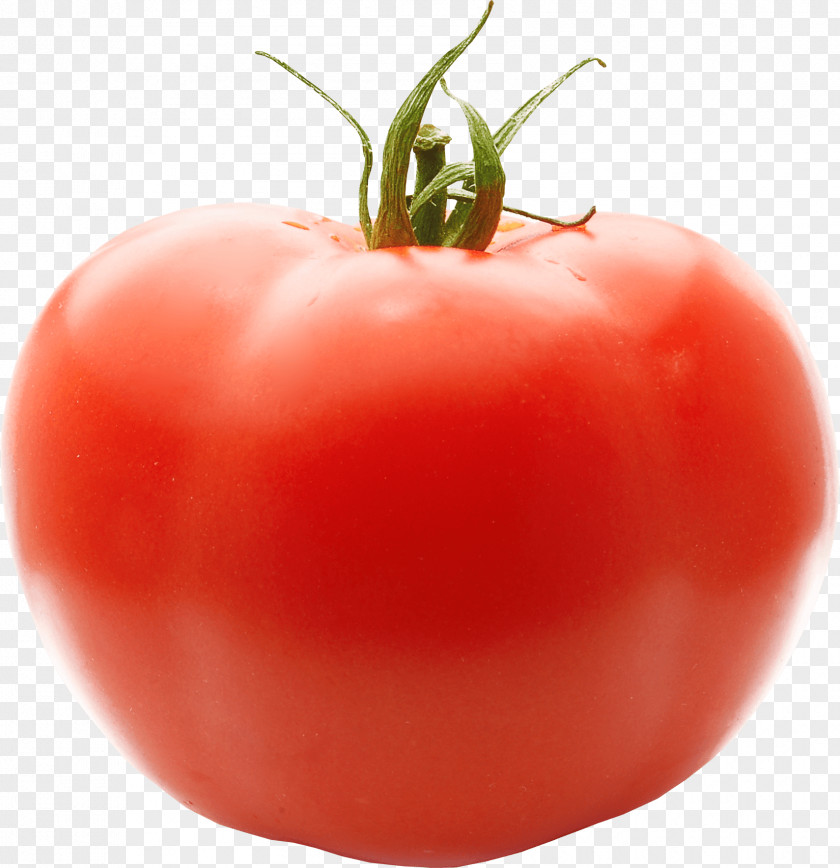 Tomato Image PNG