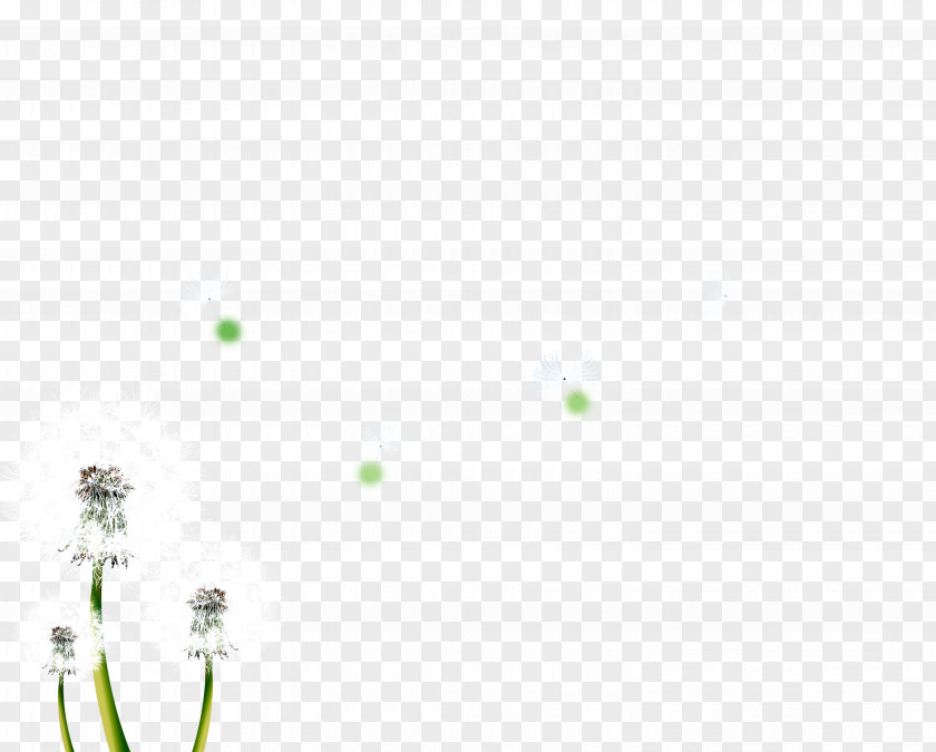 Dandelion Butterfly Green Angle Pattern PNG