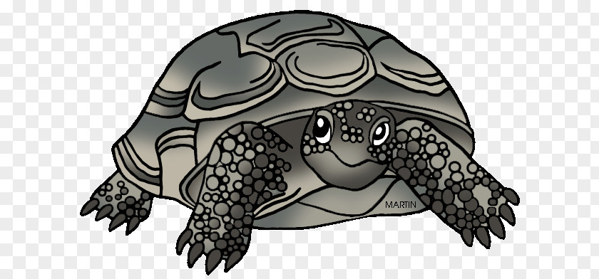 Gopher Cliparts Georgia Box Turtle Tortoise Reptile PNG