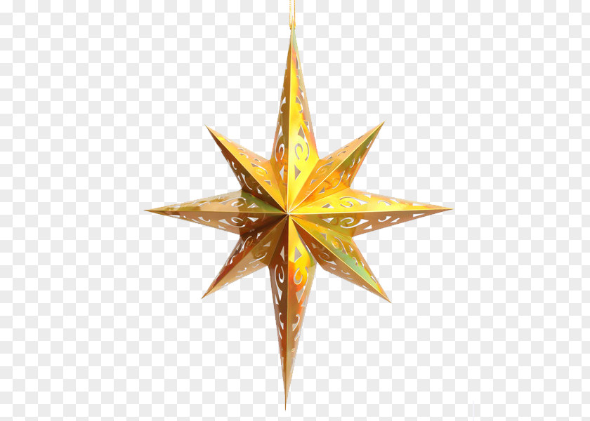 Star Anise Polygon Octagon PNG