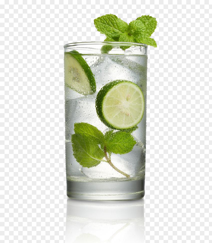 Drink Cocktail Mojito Margarita Mint Julep Spritzer PNG
