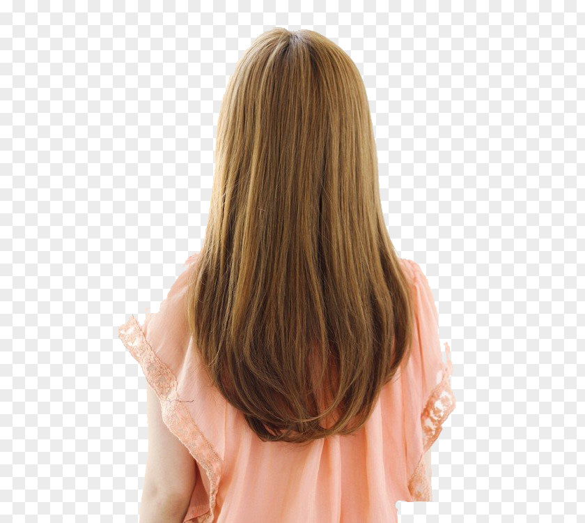 Girls Hairstyles Hairstyle Long Hair PNG