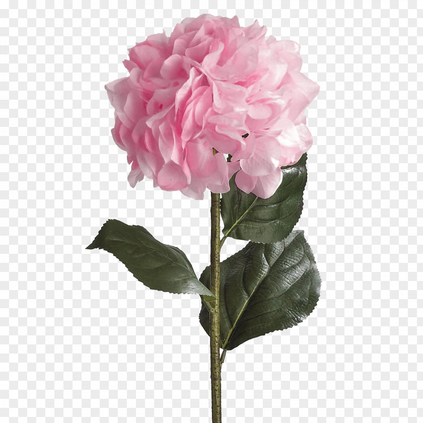 Hydrangea French Plant Stem Artificial Flower Rose PNG