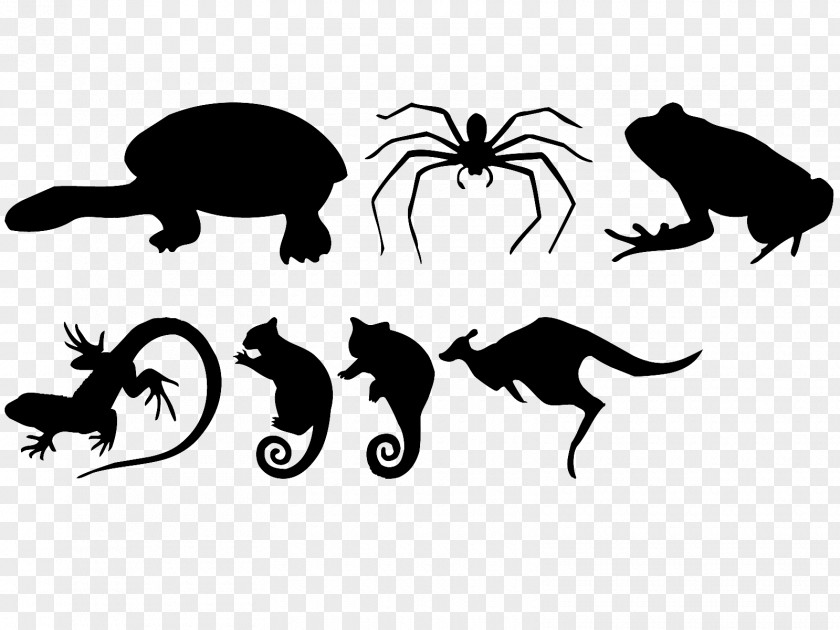Lizard Insect Silhouette Black Clip Art PNG