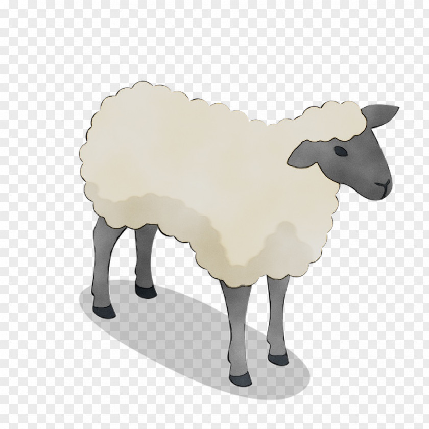 Sheep Cattle Goat Product Design PNG